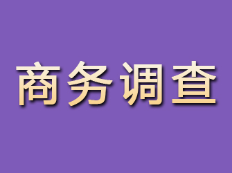 东川商务调查